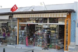 Bodrum Çam Sakızı Hediye&amp;Bitki