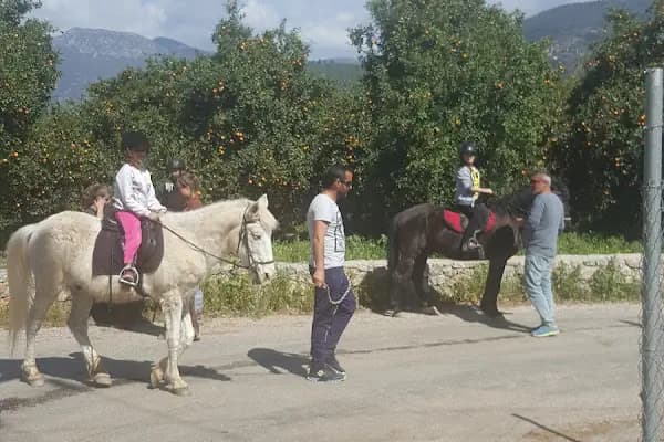 at çiftik ayhan - At Binme Hizmeti - Antalya Akseki