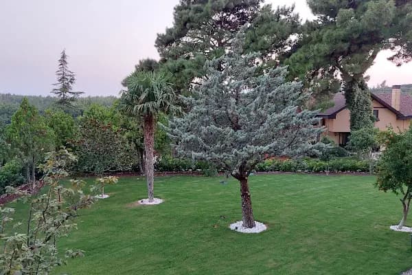 Çamlıtepe Orman Evleri - Villa - İzmir Narlıdere