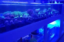Emirhan akvaryum&amp;petshop