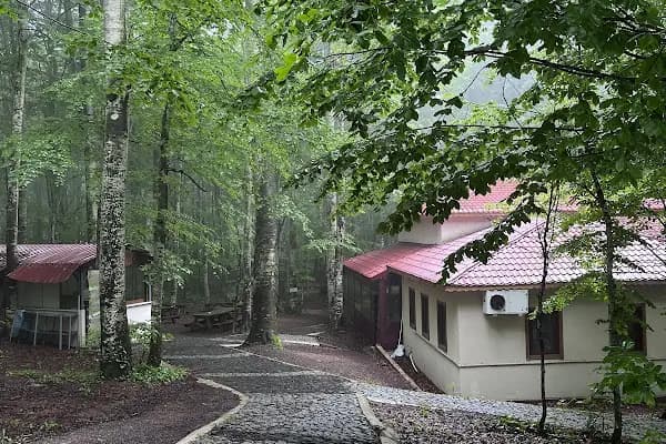 Eriklitepe Tabiat Parkı - Milli Park - Kocaeli İzmit