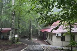 Eriklitepe Tabiat Parkı