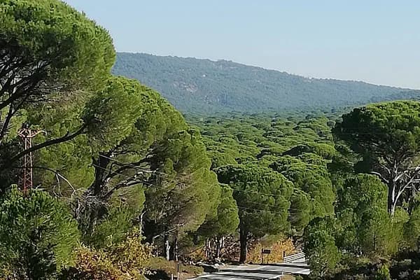 İzmir/bergama/Kozak Yaylasi - Doğa Koruma Alanı - İzmir Aliağa