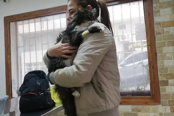 Pan-vet Veteriner Kliniği - Veteriner - İzmir Bayındır