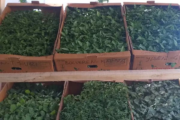 Emin fide - Tarımsal Ekipman Tedarikçisi - Antalya Aksu