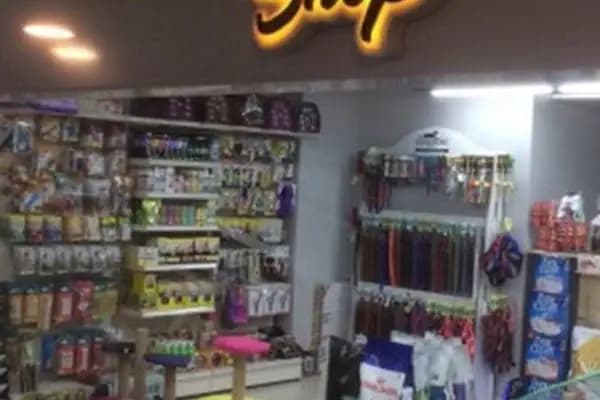 Green Petshop - 41 Burda Avm - Evcil hayvan mağazası - Kocaeli İzmit