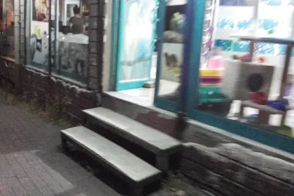 Yiğit Akvaryum - Evcil hayvan mağazası - İstanbul Bağcılar