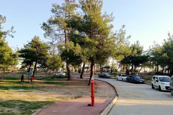 Gürsu Kule Orman Parkı - Mesire Alanı - Bursa Gürsu