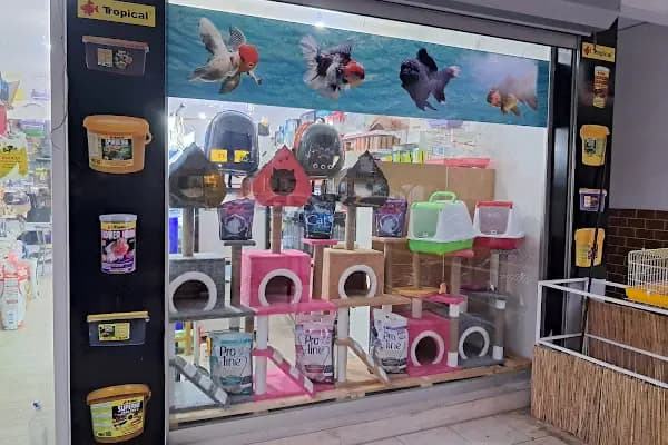 HOBİM PET SHOP 07 - Evcil hayvan mağazası - Antalya Akseki