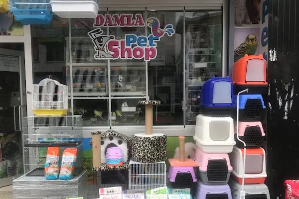 Sakarya Damla Petshop - Evcil Hayvan Malzemeleri Mağazası - Sakarya Adapazarı