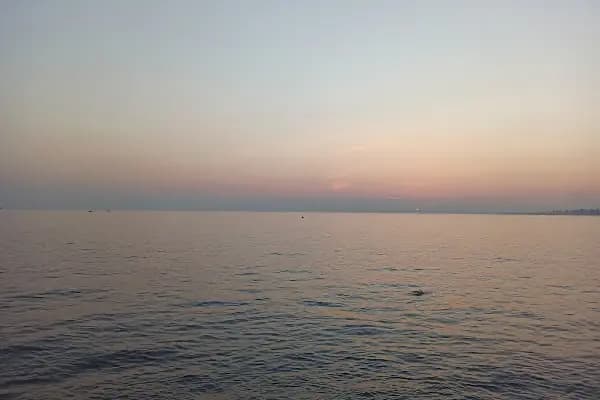 Adalar Kargo Yük Taşıma - Taşıma ve depolama hizmeti - İstanbul Arnavutköy