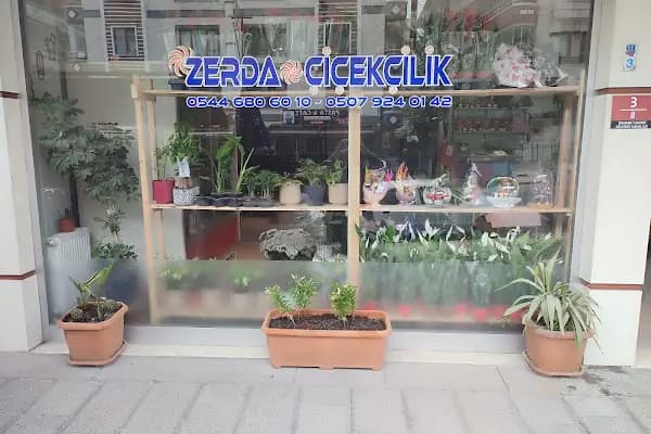 Zerda çiçekçilik - Çiçekçi - Ankara Mamak