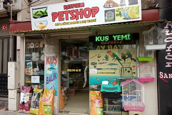 Rastgele petshop - Kuşçu - Sakarya Adapazarı