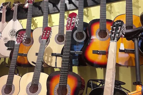 gitarist müzik aletleri - Müzik aletleri mağazası - İstanbul Avcılar