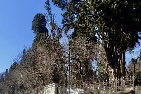 İçerenköy Mezarlığı - Mezarlık - İstanbul Ataşehir