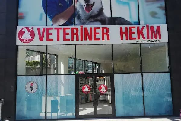 ALTIN VETERİNER HEKİM MUAYENEHANESİ - Veteriner - İstanbul Esenyurt