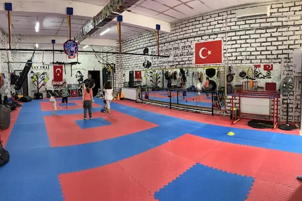 Pençe Savunma Sistemi Spor Kulübü - Spor Kulübü - Ankara Yenimahalle