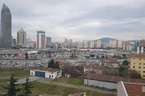 Rönesans Holding - Holding Şirket - İstanbul Adalar