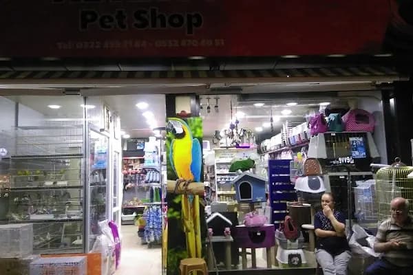 Adanus petshop - Evcil hayvan mağazası - Adana Seyhan