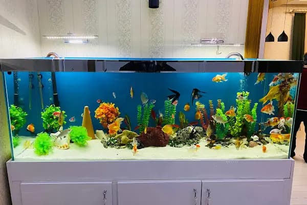 Zeynel Petshop - Evcil Hayvan Malzemeleri Mağazası - Gaziantep Şahinbey
