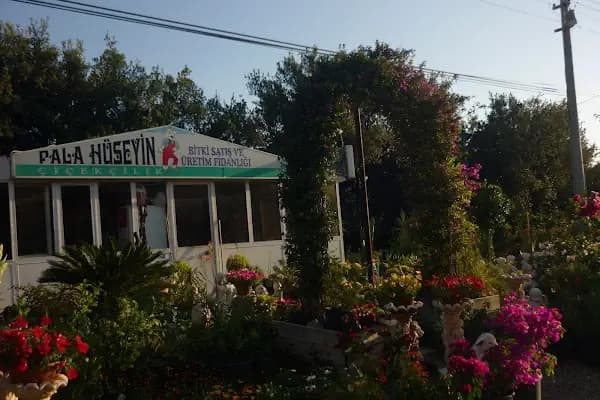 Pala Hüseyin Çiçekçilik - Peyzaj Tasarımcısı - Muğla Bodrum