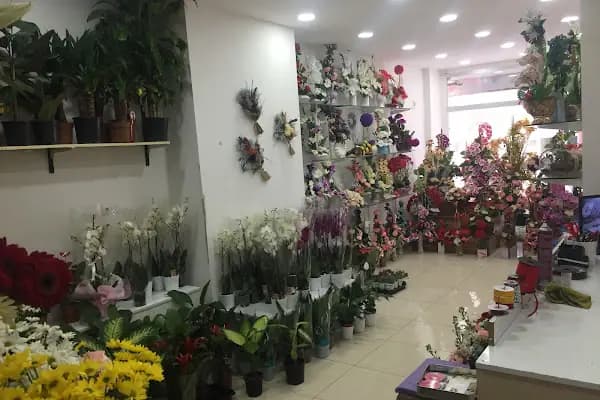 Esra çiçek evi - Çiçekçi - Bursa Nilüfer