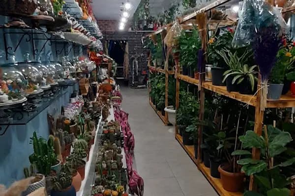 Frezya Çiçek Evi Van Edremit - Çiçekçi - Van İpekyolu
