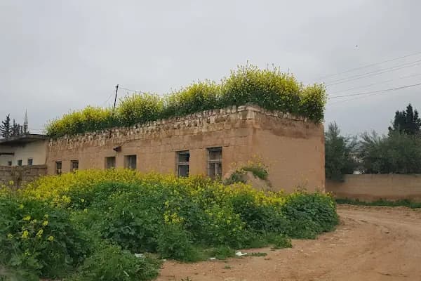 Çiftlik mezarlığı - Mezarlık - Şanlıurfa Karaköprü