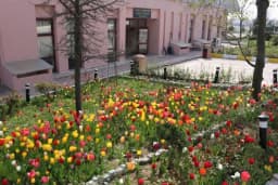Arnavutköy Polis Meslek Eğitim Merkez