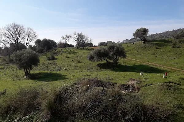 Dolanbay Çiçekçilik - Çiçekçi - İzmir Menderes