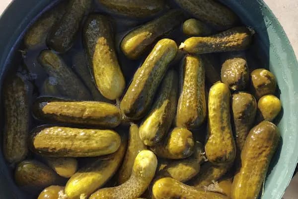 DMR SEYMEN GIDA - Gıda Bankası - Diyarbakır Bağlar
