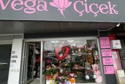 Vega çiçek