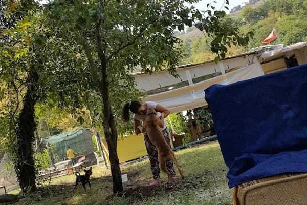 KOCAELİ PAİNTBALL - Paintball Merkezi - Kocaeli Başiskele