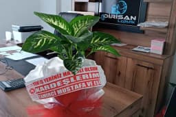 Dirisan Lojistik
