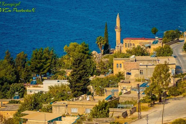 SGR KURUYEMİŞ &amp; YÖRESEL ÜRÜNLER - Kuruyemişçi - Şanlıurfa Akçakale
