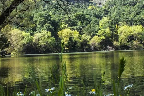 Karagöl Orman Kampı - Milli Park - İzmir Buca