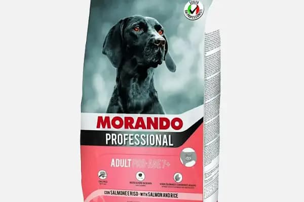 Ataşehir Hanımeli PetStore - Kuş, Kedi, Köpek, Sürüngen, Kemirgen ve Balık Galerisi (Ataşehir muhabbet kuşu, sultan papağanı) - Evcil hayvan mağazası - İstanbul Ataşehir