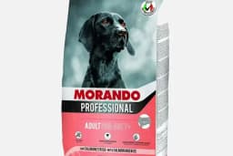 Ataşehir Hanımeli PetStore - Kuş, Kedi, Köpek, Sürüngen, Kemirgen ve Balık Galerisi (Ataşehir muhabbet kuşu, sultan papağanı)