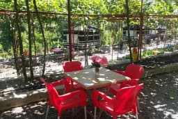 Kiwi Park Yağmur Evleri