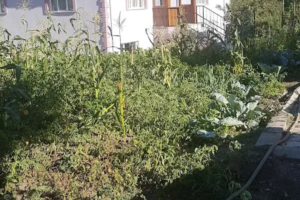 Kavacık Spor Kulübü Stadyum - Stadyum - Balıkesir Dursunbey