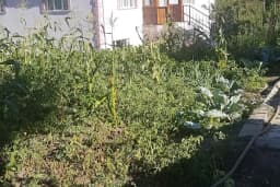 Kavacık Spor Kulübü Stadyum