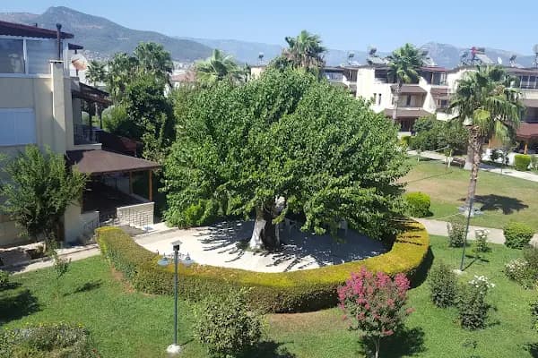 Kardelen Sahil Sitesi - Konut Geliştirme - Mersin Toroslar