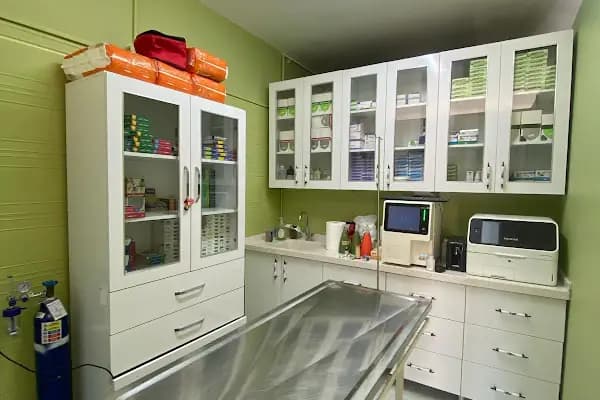 Ardıç Veteriner Kliniği (eski sempati) - Veteriner - Balıkesir Burhaniye