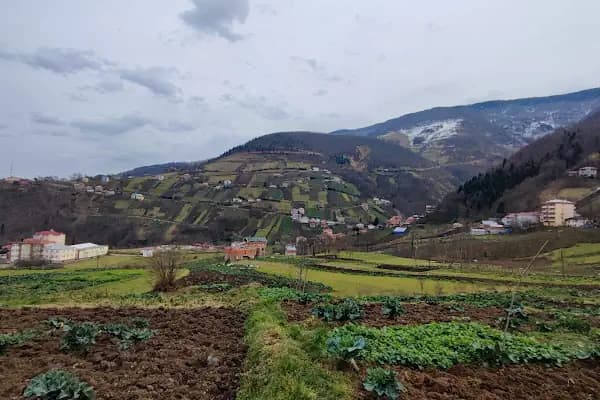 Pontos/ Byzantine Church , Tarihi Pontus Kilisesi - Kilise - Trabzon Of