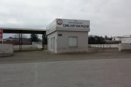 Canlı Hayvan Pazarı