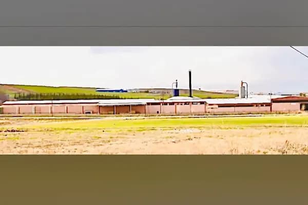 Tokur Ağaç Akyurt - Ağaç Hizmeti - Ankara Keçiören