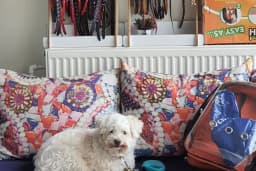 Diyarbakır veteriner Petshome