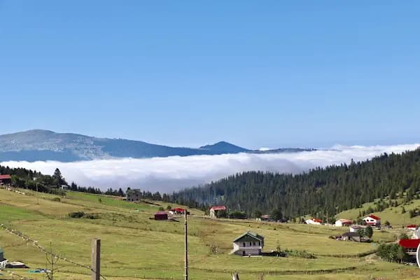 Kayabaşı Tabiat Parkı - Milli Park - Trabzon Köprübaşı