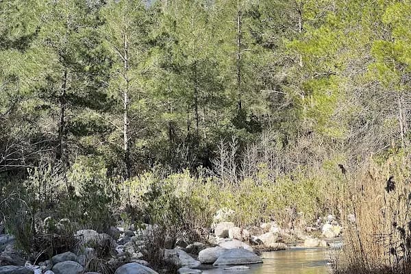Güllük Dağı Milli Parkı - Milli Park - Antalya Döşemealtı