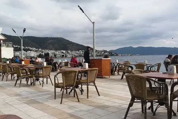Mahfel Cafe - Bodrum Belediye A.Ş. - Kafe - Muğla Menteşe